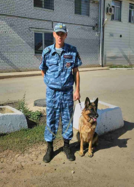 В Астрахани полицейская собака нашла пропавший планшет