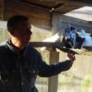 «Любовь и голуби» по-астрахански, житель Ахтубинска выводит новую породу голубей