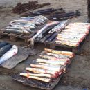 Четверых браконьеров в Астраханской области задержали с 200 кг рыбы