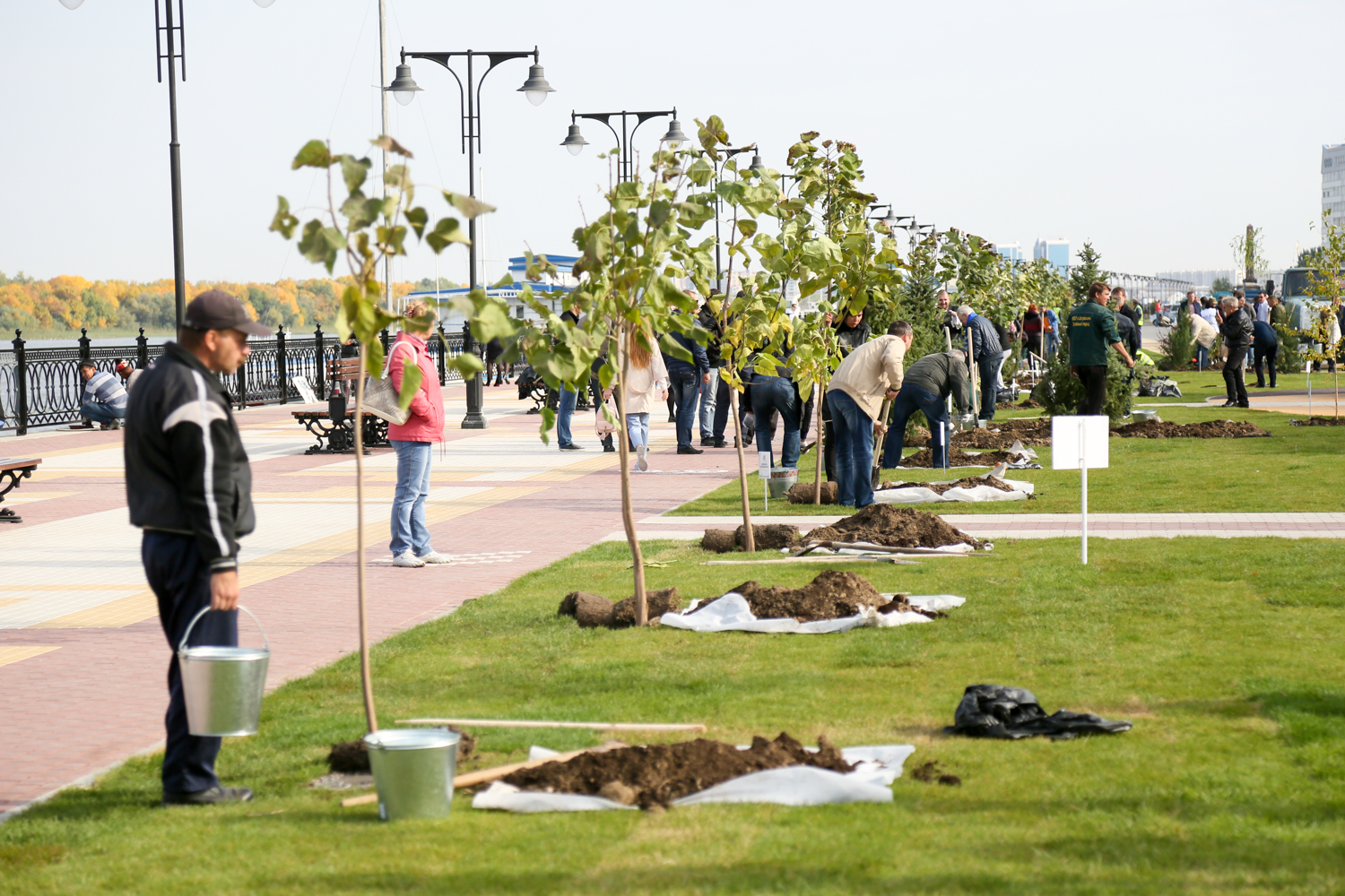 На Петровской набережной в Астрахани высадили около 200 деревьев и кустарников