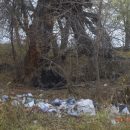 В Астраханском природном парке сфотографировали кучи мусора