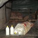 В Астраханскую область пытались ввезти подозрительное верблюжье молоко
