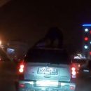 Полиция в Астрахани наказала водителя, перевозившего «Спайдермена» на крыше машины