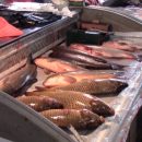 В Астрахани закрыли пять точек по продаже рыбы