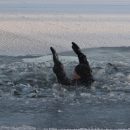 Спасатели в Астрахани эвакуировали рыбака с плывущей льдины