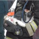 На видео попало, как пожарные борются за жизнь кота