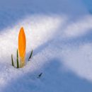 Астраханцев в марте ждет снег и сильный ветер