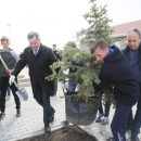 Члены правительства Астраханской области высадили полсотни деревьев возле храма в селе Образцово-Травино