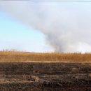 С поджигателей сухой травы в Астраханской области будут взыскивать ущерб от пожаров