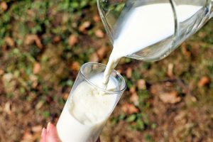 Поставщик мнимого молока в астраханские детсады находится под домашним арестом