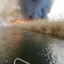 Астраханцы делятся видео масштабного пожара в дельте Волги