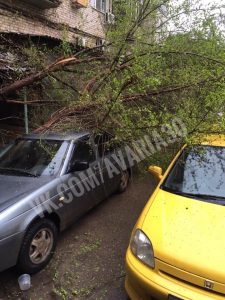 В Астрахани снова деревопад и подмятые машины