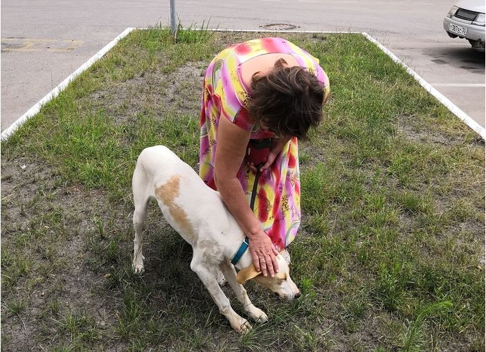 Астраханец завез в степь породистую собаку из-за аллергии дочки