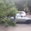 В Астрахани несколько автомобилей пострадали от упавших деревьев