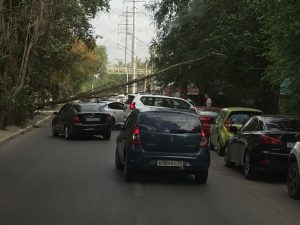 В Астрахани несколько автомобилей пострадали от упавших деревьев