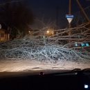 Ветер в Астрахани повалил деревья на иномарку и поперек дороги