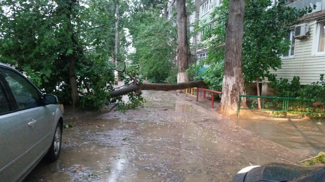 Ливень в Астрахани: затонуло такси, ветер повалил деревья